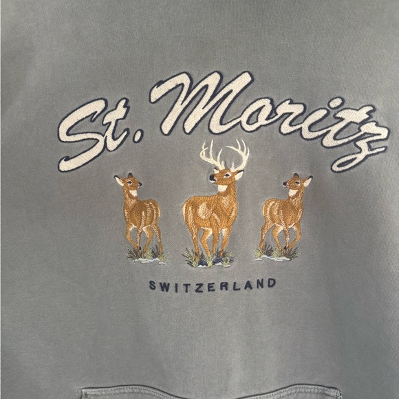 Brandy Melville Gray St. Moritz Hoodie - Picture 2 of 4